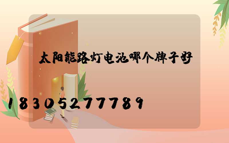 太阳能路灯电池哪个牌子好