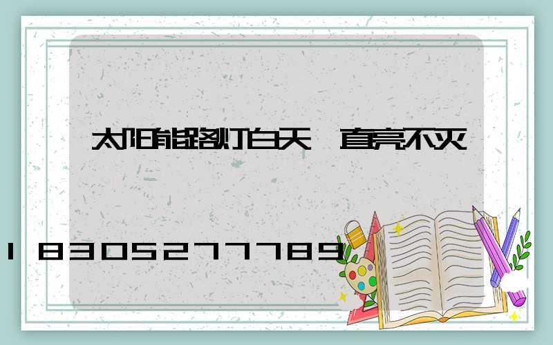太阳能路灯白天一直亮不灭