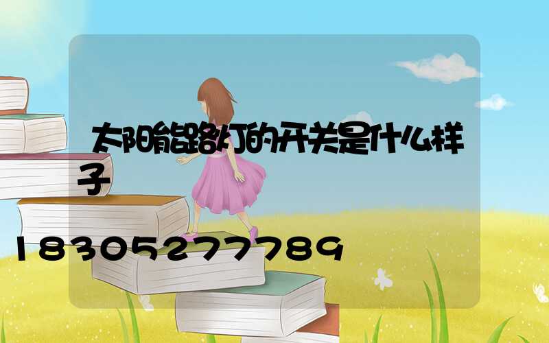 太阳能路灯的开关是什么样子