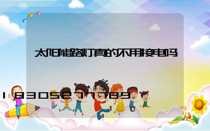太阳能路灯真的不用接电吗