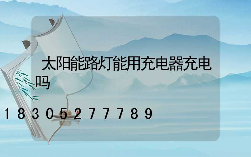 太阳能路灯能用充电器充电吗