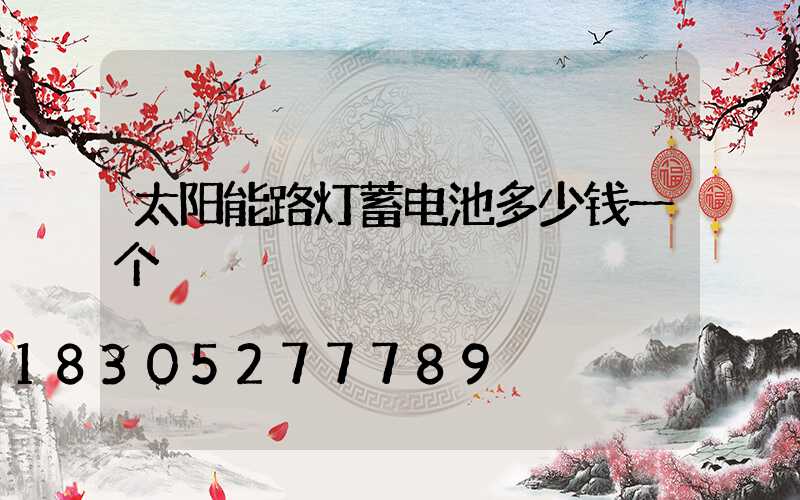 太阳能路灯蓄电池多少钱一个