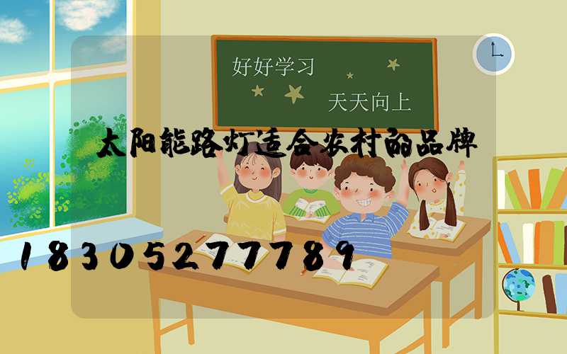 太阳能路灯适合农村的品牌