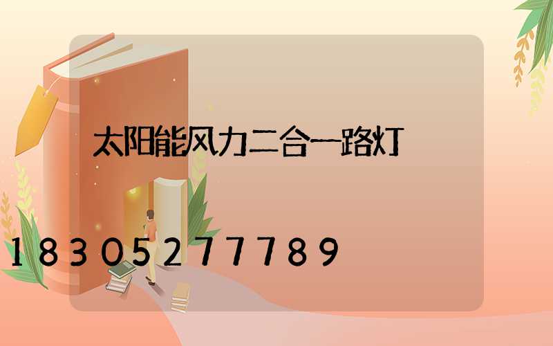 太阳能风力二合一路灯