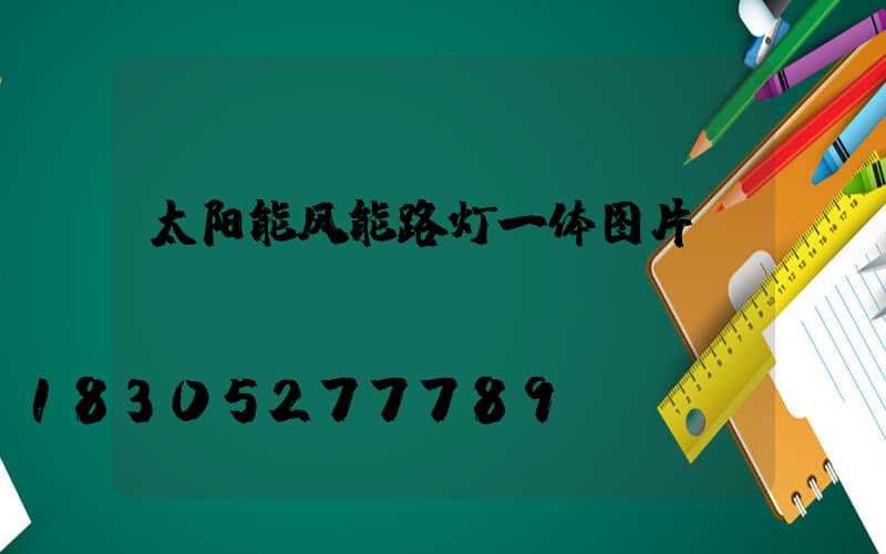 太阳能风能路灯一体图片