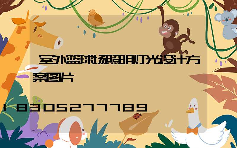 室外篮球场照明灯光设计方案图片