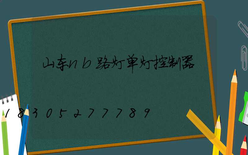 山东nb路灯单灯控制器