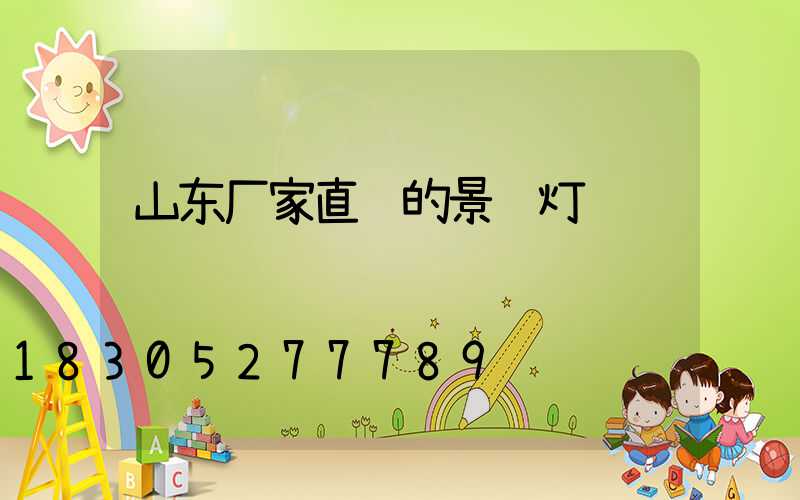 山东厂家直销的景观灯