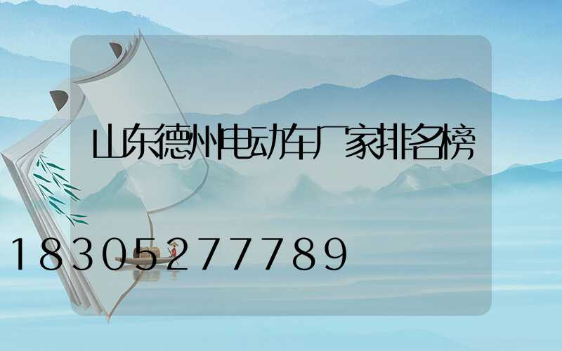 山东德州电动车厂家排名榜
