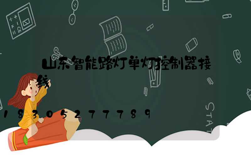 山东智能路灯单灯控制器接线