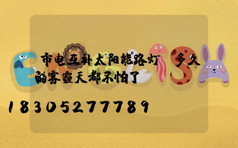 市电互补太阳能路灯-多久的雾霾天都不怕了