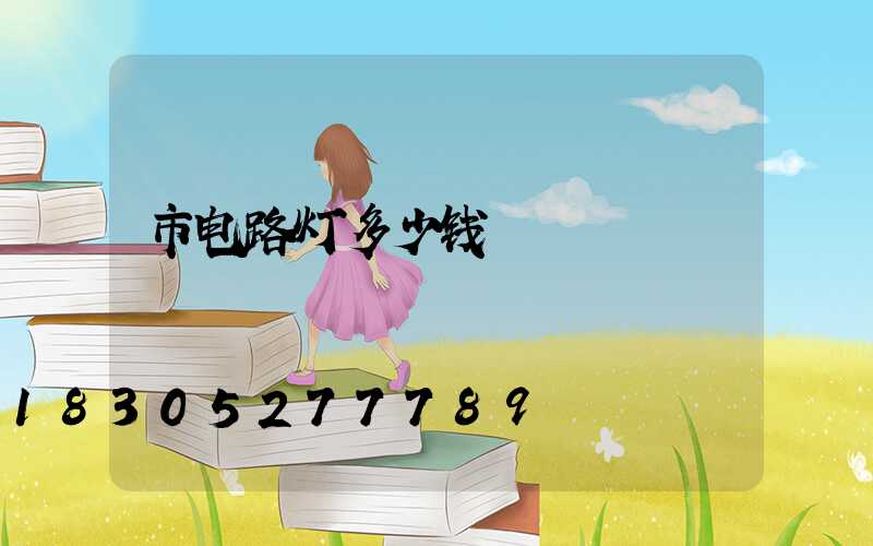 市电路灯多少钱