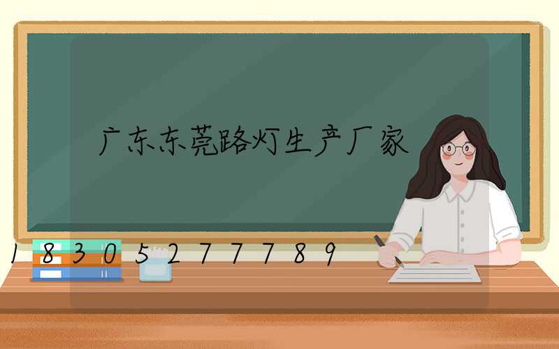 广东东莞路灯生产厂家