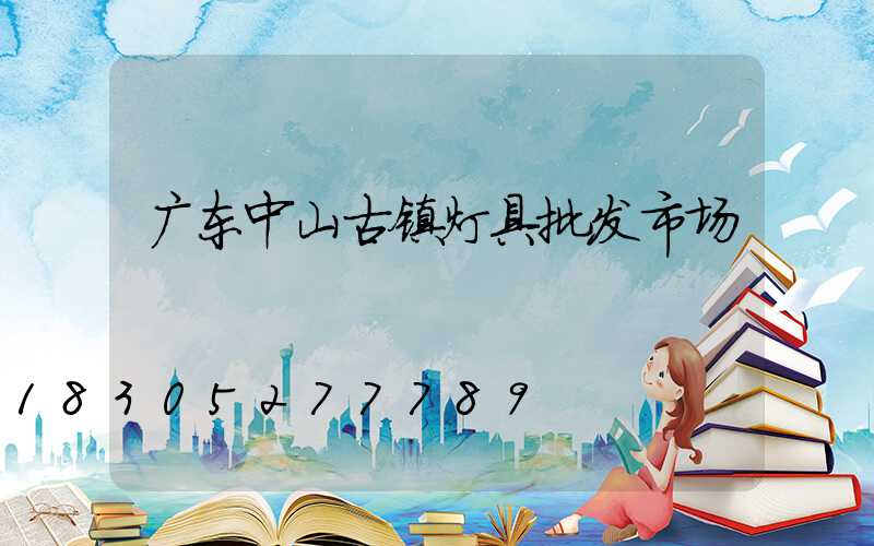 广东中山古镇灯具批发市场