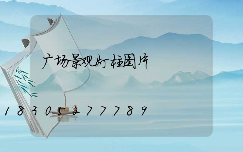 广场景观灯柱图片