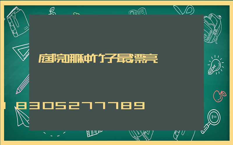 庭院哪种竹子最漂亮