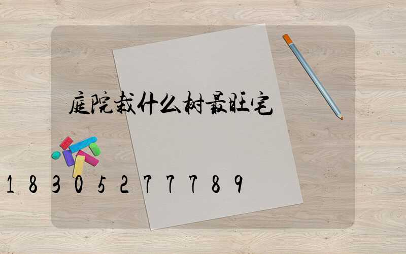 庭院栽什么树最旺宅