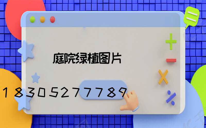 庭院绿植图片