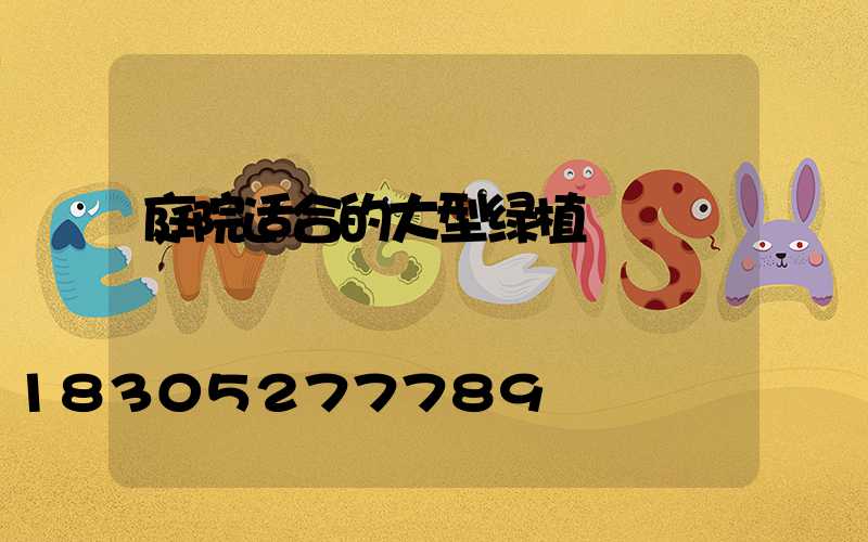 庭院适合的大型绿植