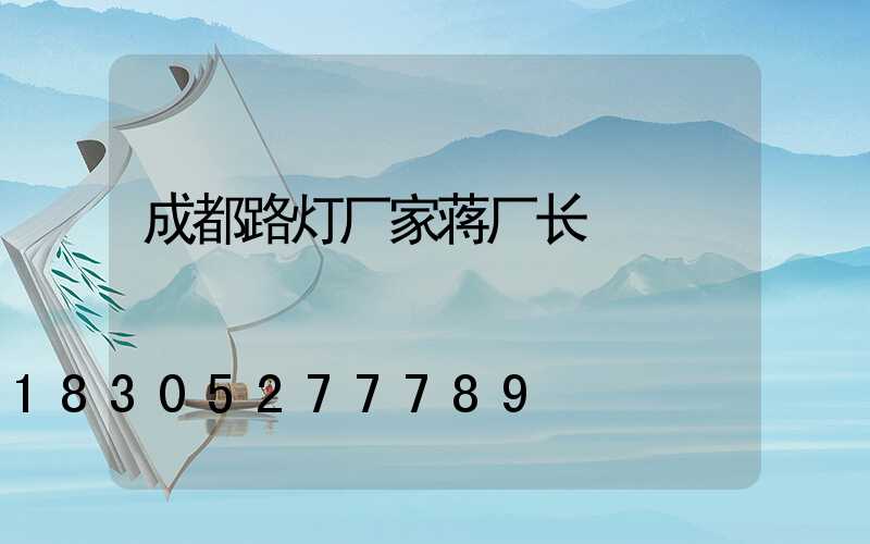 成都路灯厂家蒋厂长