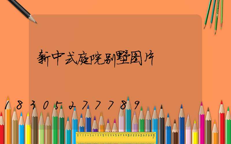 新中式庭院别墅图片