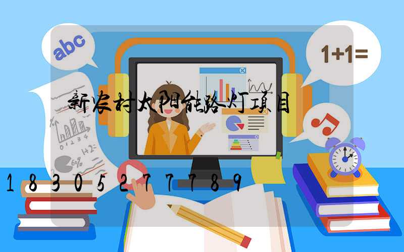 新农村太阳能路灯项目