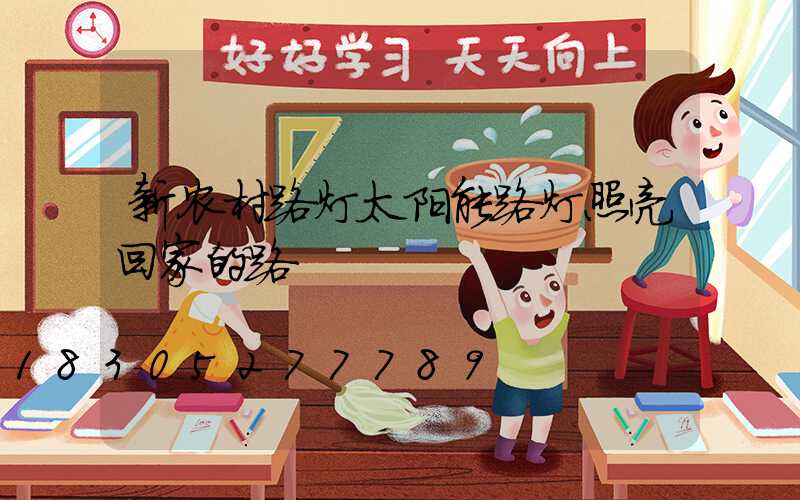 新农村路灯太阳能路灯照亮回家的路