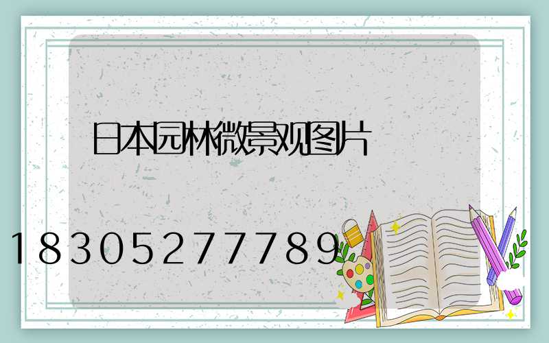 日本园林微景观图片
