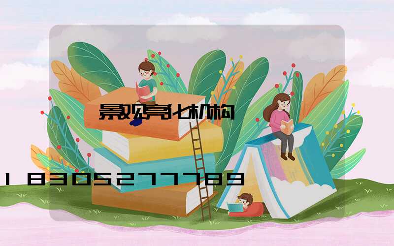 景观亮化机构