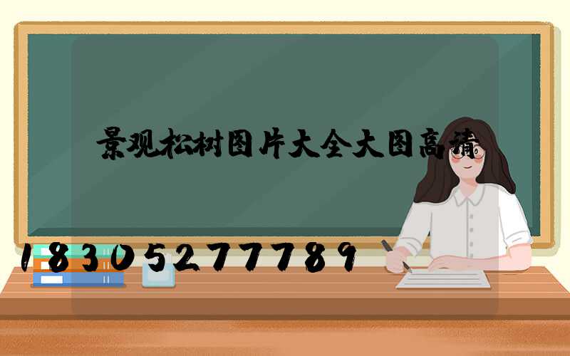 景观松树图片大全大图高清