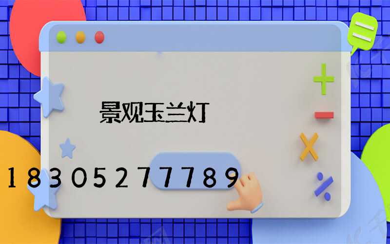 景观玉兰灯
