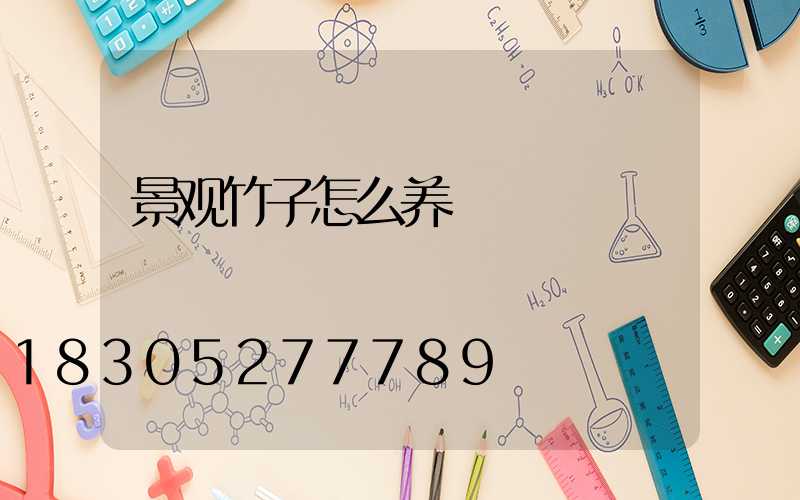 景观竹子怎么养