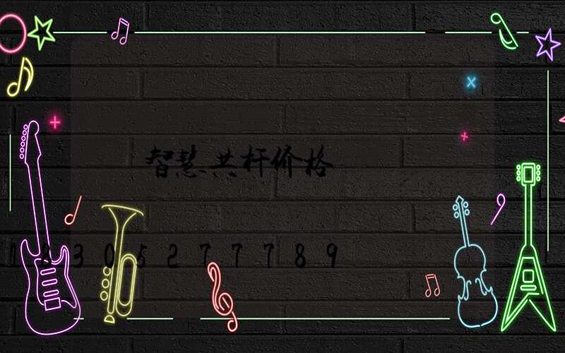 智慧共杆价格