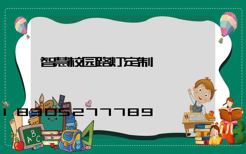 智慧校园路灯定制