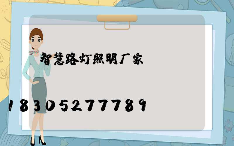 智慧路灯照明厂家