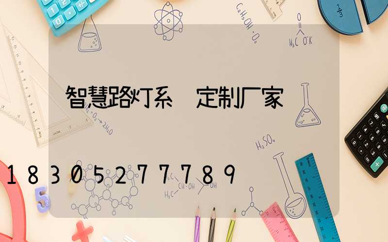 智慧路灯系统定制厂家