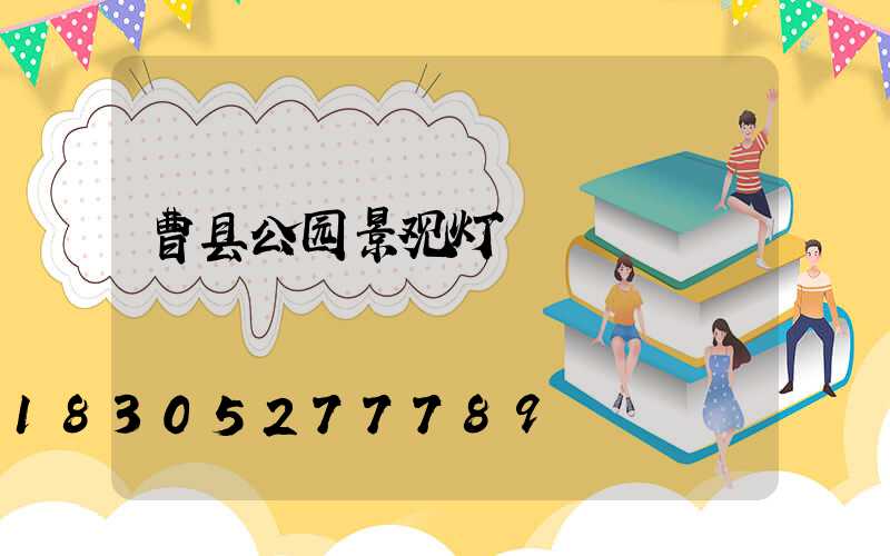 曹县公园景观灯