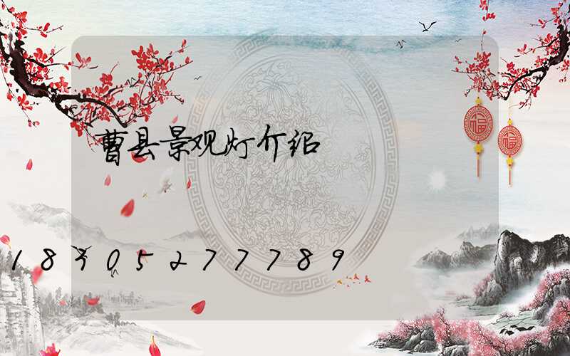 曹县景观灯介绍