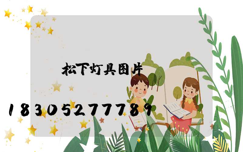 松下灯具图片