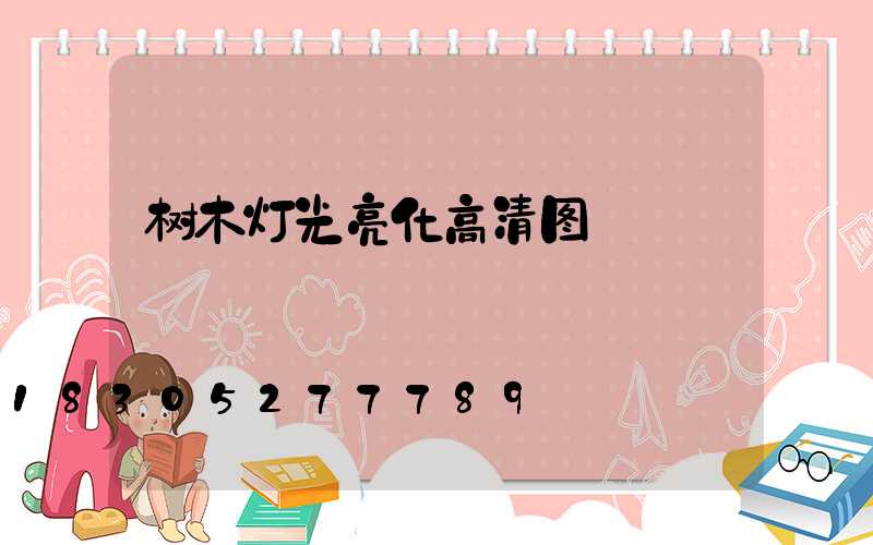 树木灯光亮化高清图