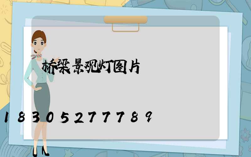 桥梁景观灯图片