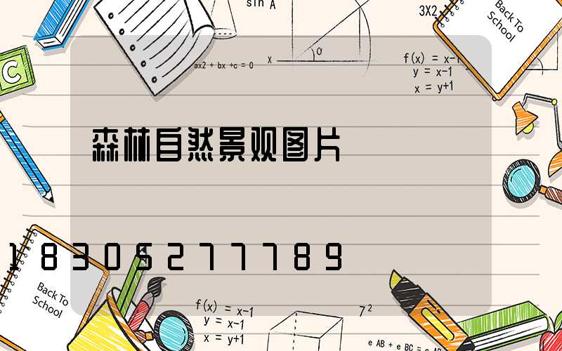 森林自然景观图片