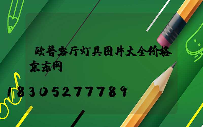 欧普客厅灯具图片大全价格京东网