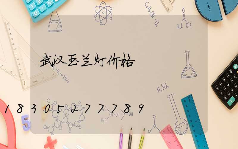 武汉玉兰灯价格