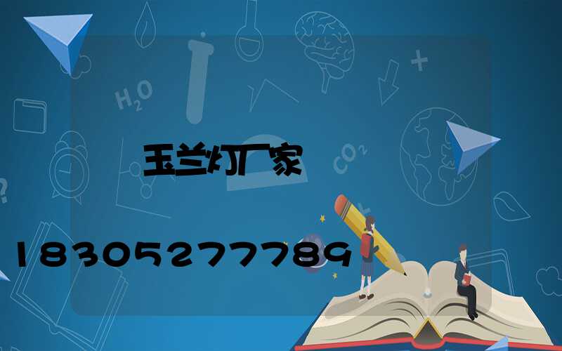 玉兰灯厂家