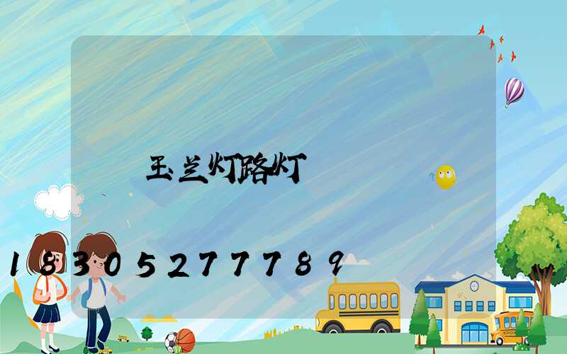 玉兰灯路灯