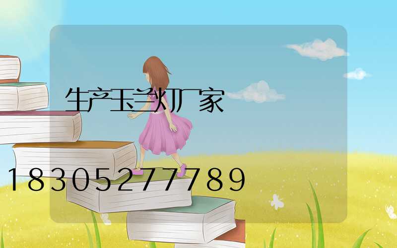 生产玉兰灯厂家
