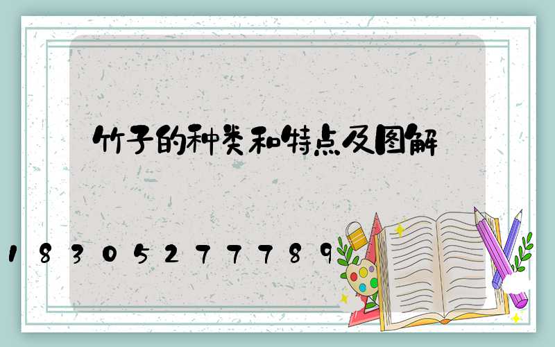竹子的种类和特点及图解