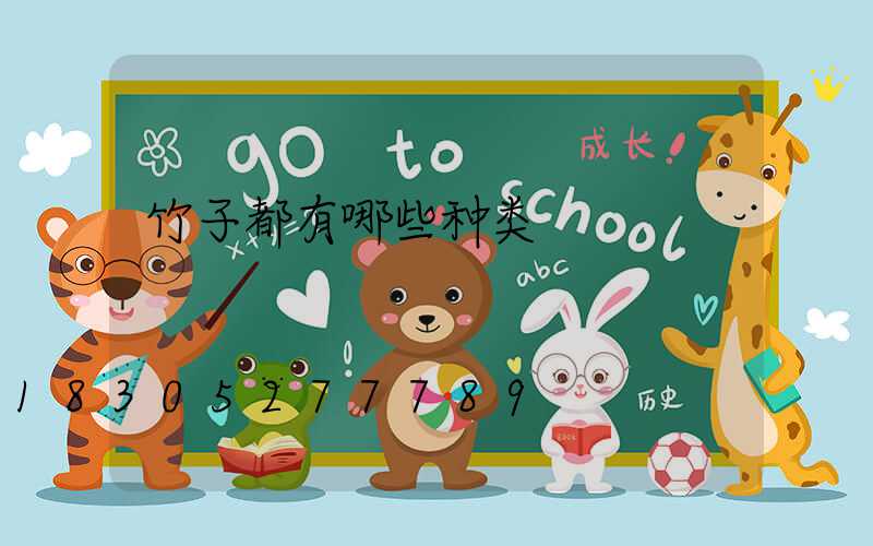 竹子都有哪些种类