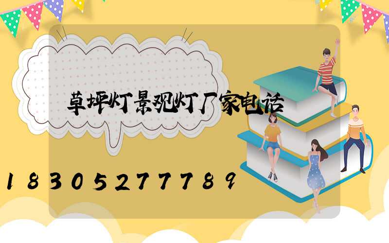 草坪灯景观灯厂家电话
